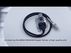 5WK96694C 12V Sensore di ossido di azoto NOX Fitted per Euro Truck OEM 2296800